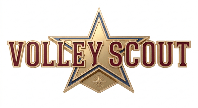 Volley Scout